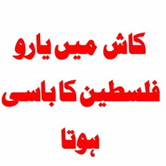 Palestine Emotional Nasheed 2024 _ Palestine Song _ Ya Aqsa _ Kash Main Yaro Palestin Ka Basi Hota(7