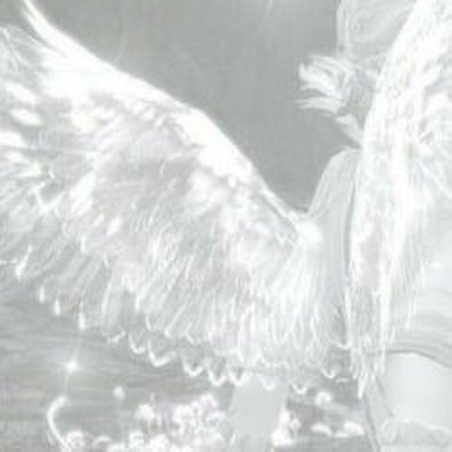 feb 2k23 (jichu, death, troiner, kidu, azami)