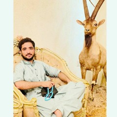 Noman Bugti   ♟_____