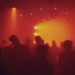 Den Haas @ Under The Vibe (Schron - Poland)  27.01.23