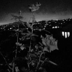 higher (prod.Foreignboi)