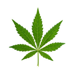 There Might Be House ft. MUDDY 122 Gj