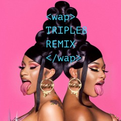WAP (Atlessc Remix)