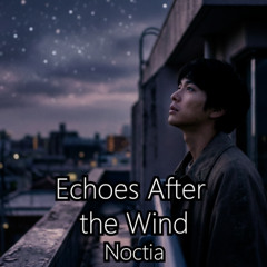 Echoes After the Wind