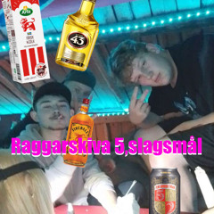 RaggarSkiva 5, Slagsmål