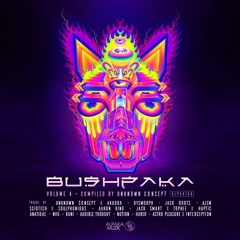 Sciotech & Soulphonious - Cover Up [Alpaka Muzik]