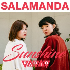 Sunshine Radio - Salamanda : Legend of a Forest Named Violet
