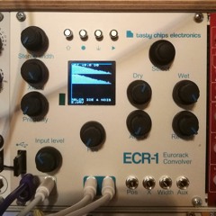 Tasy Chips Electronics Ecr-1 Demo