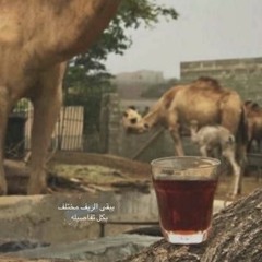 إلى بلادي الحبيبه - ياغربتي ،مسلم العامري
