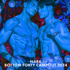 Nark Live at Bottom Forty Campout, Saturday (House/Disco)