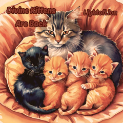 Divine Kittens Are Back