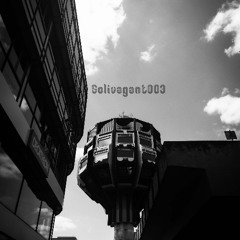 Solivagant003
