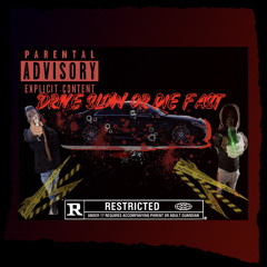 drive slow or die fast ft Liljohnsteppin