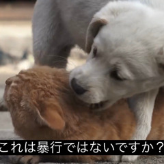 koukei123456789