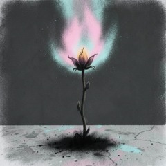 Disappear in the Dark