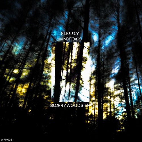 [Premiere] F.I.E.L.D.Y and MindFoxx - Falling Star [Wildfang Music]