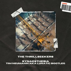The Thrillseekers - Synaesthesia (Tim Neumann Aka Lunatic Bootleg)
