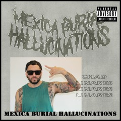 Mexica Burial Hallucinations/ song: Police Control