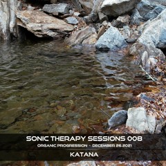 STS.008 - Organic Progression