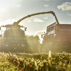 grellige rouwdouw plaate 5 ( 🙀🚜VOORJAAR OP VOLLE TOEREN🥳🤠 )