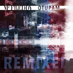 04 Instavel Shuffle (Kanif the Jhatmaster Remix)