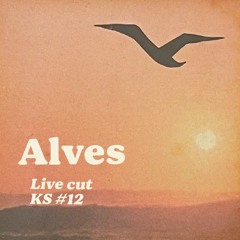 KS #12 w/ Alves (live cut)