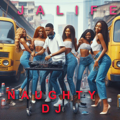 NAURGHTY DJ