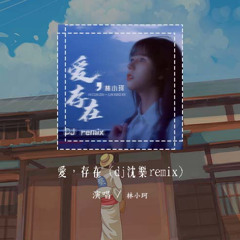 林小珂 - 爱，存在 (dj沈乐remix)「我要的爱 只在你身上存在」【動態歌詞/pīn yīn gē cí】#林小珂 #爱存在 #動態歌詞
