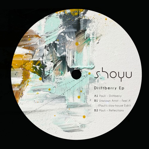PREMIERE: Pauli - Driftberry [Shoyu Music]