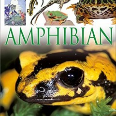 [Read] KINDLE PDF EBOOK EPUB Amphibian by  Barry Clarke 📮