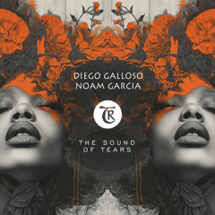Diego Galloso, Noam Garcia - The Central [Tibetania Records]