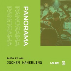 099 - PANORAMA Radio - Jochem Hamerling