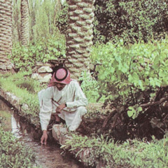 نواف منيف - شوقي إليك
