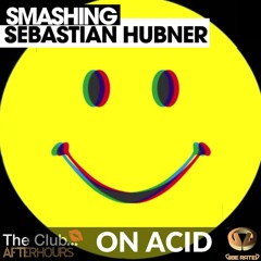 Sebastian Hubner - On Acid