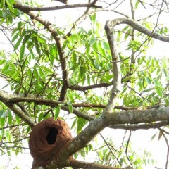 09.07.2021  - Cap. V - Bem Aventurados os Aflitos - Bem e Mal Sofrer (8)