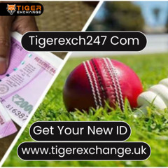 Join Tigerexch247 Now – Instant Betting ID Available!