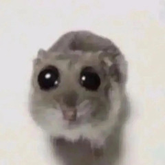 Dio sing sakanigadik  (AI cover)