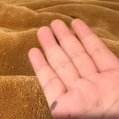 LANDR-Bliss-Open-High.mp3