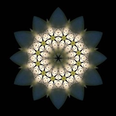 MOONLIGHT : SERENADE