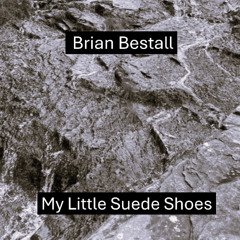 My Little Suede Shoes