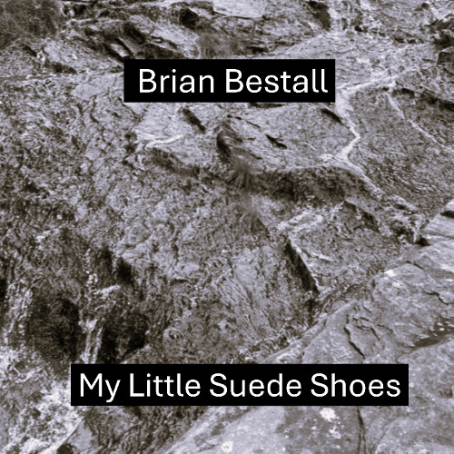 My Little Suede Shoes