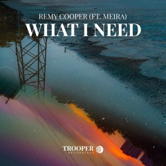 Remy Cooper - What I Need (ft. MEIRA)