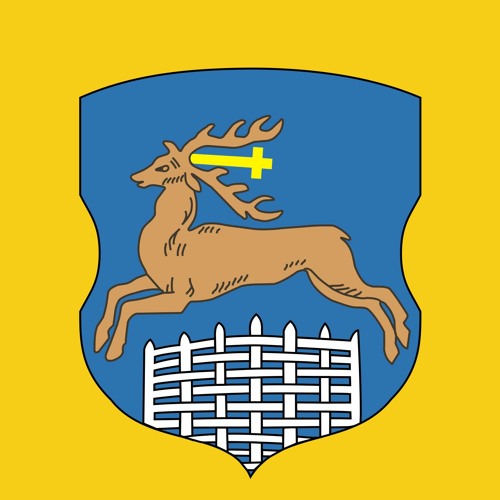 Герб гродно картинка