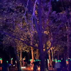 Dancing Freedom end Sep 25