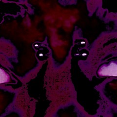 feel reel prod xosolarxo