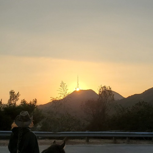 Around The Sun 🌞