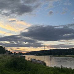 Elbwiese