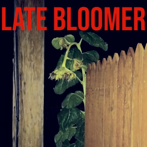 L A T E   B L O O M E R