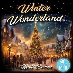 Winter Wonderland - Matt Baker