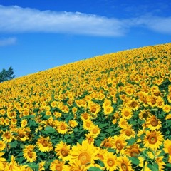 Pray Today (Feat. Webb)